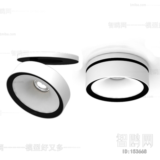 Modern Downlight Spot Light