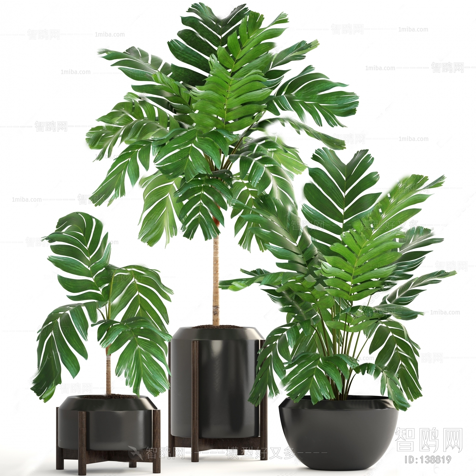 Modern Potted Green Plant