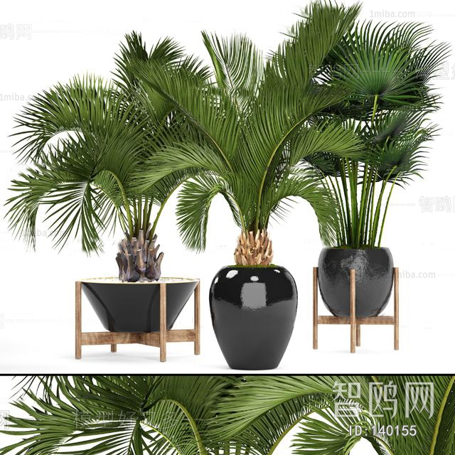 Modern Potted Green Plant