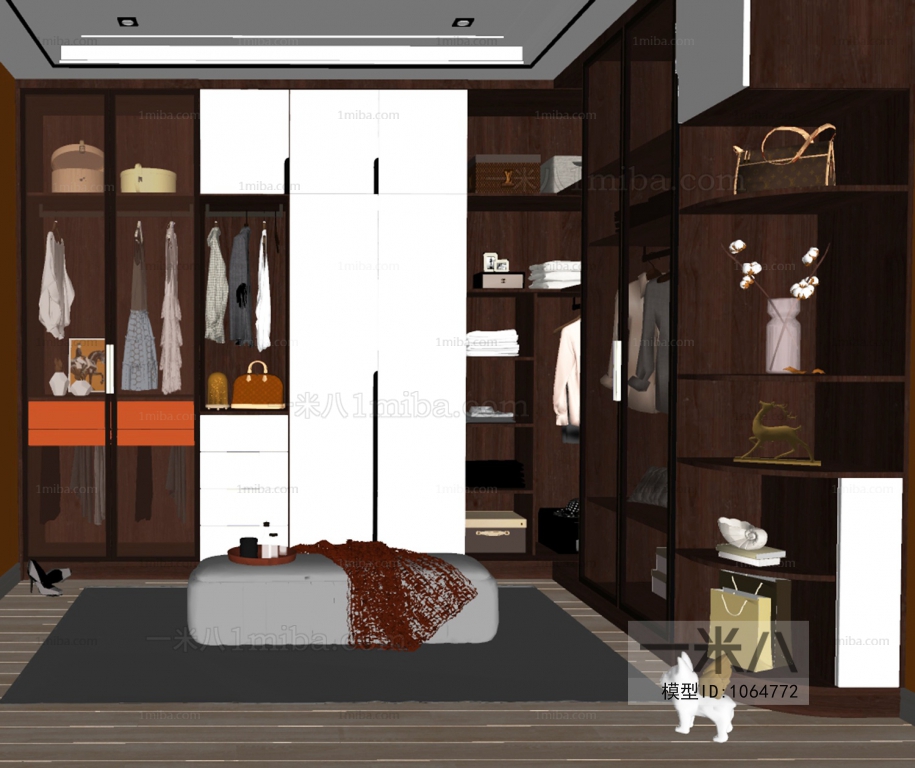 Modern Clothes Storage Area