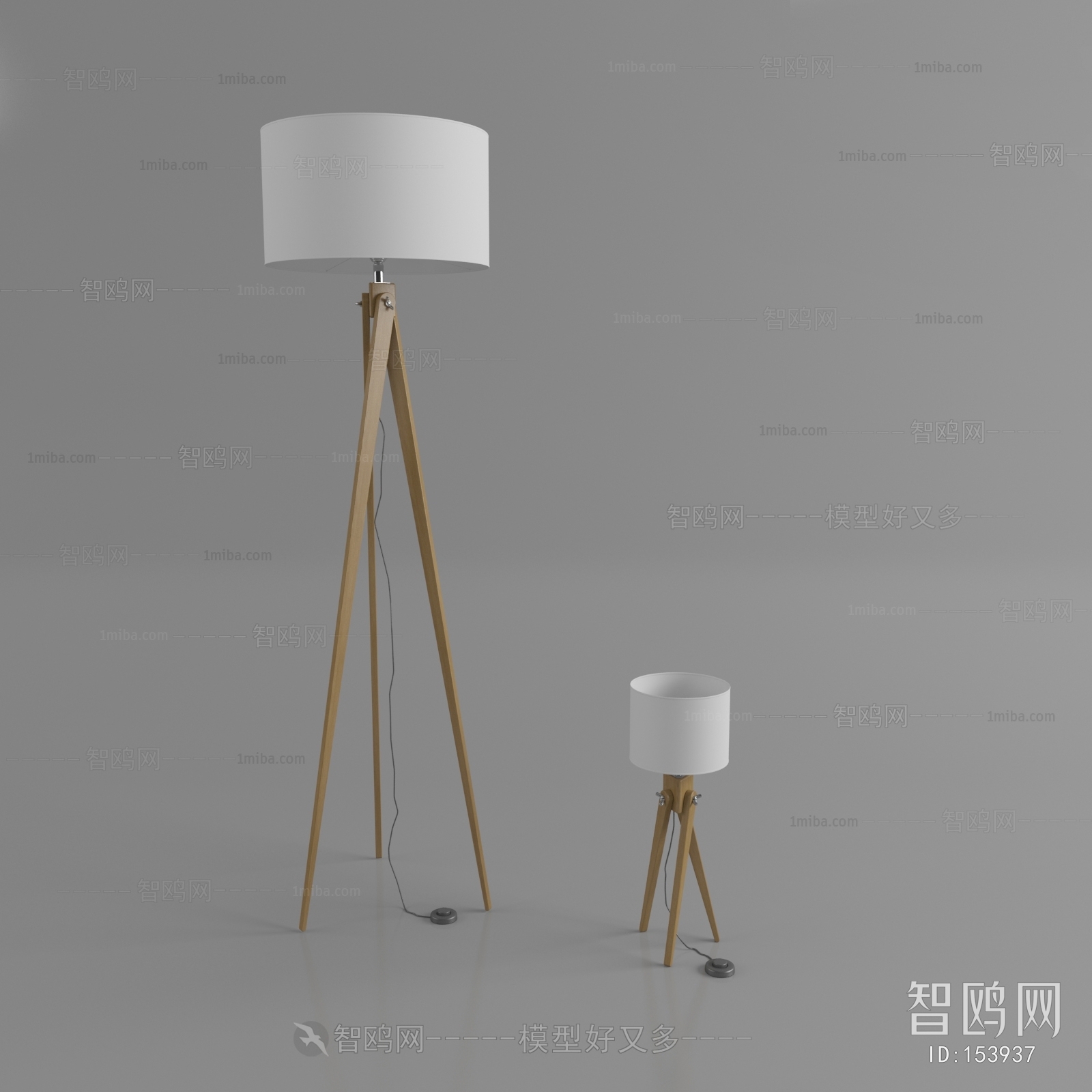 Modern Floor Lamp