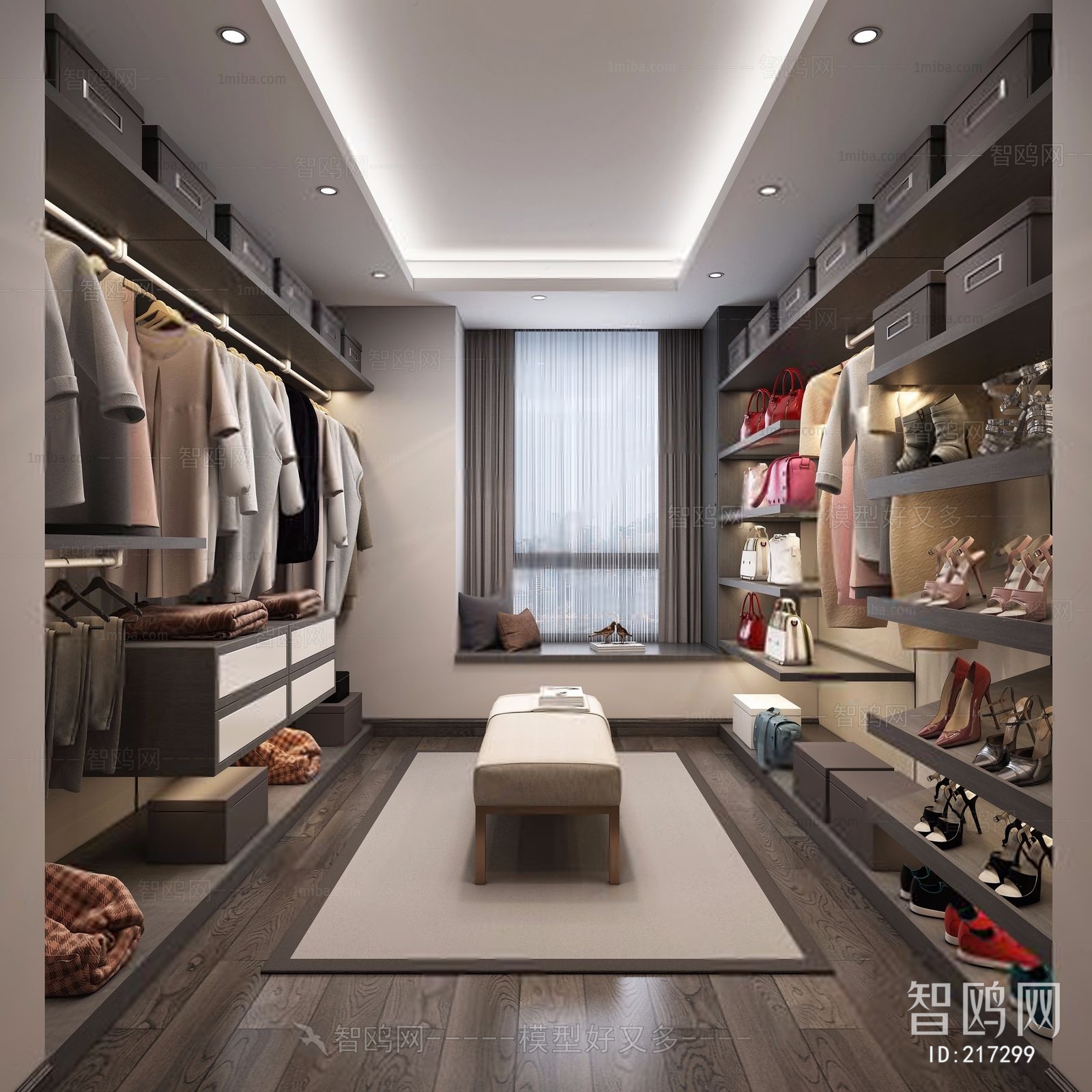 Modern Clothes Storage Area