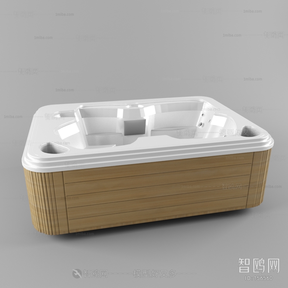 Modern Bathtub