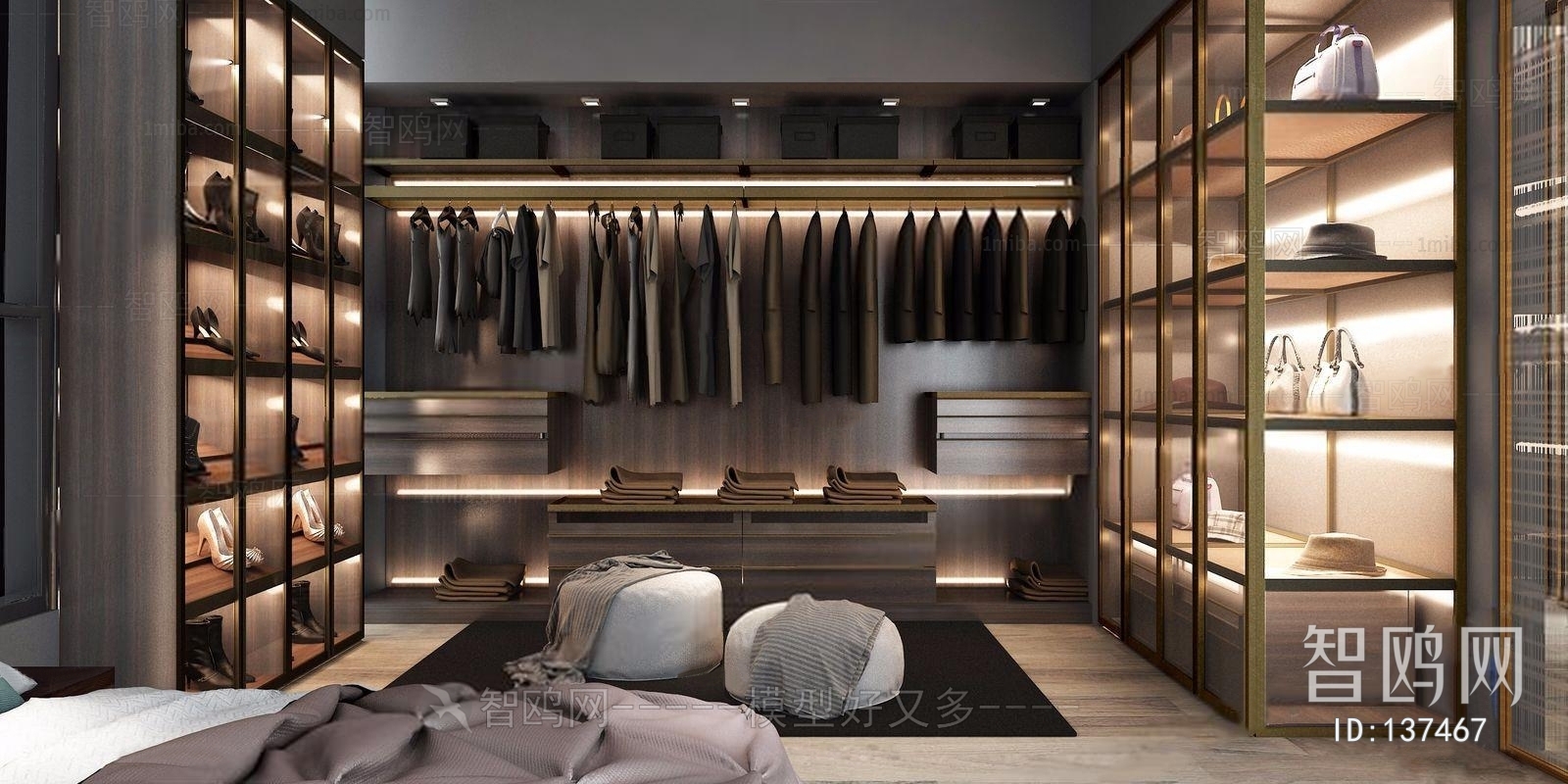 Modern Clothes Storage Area