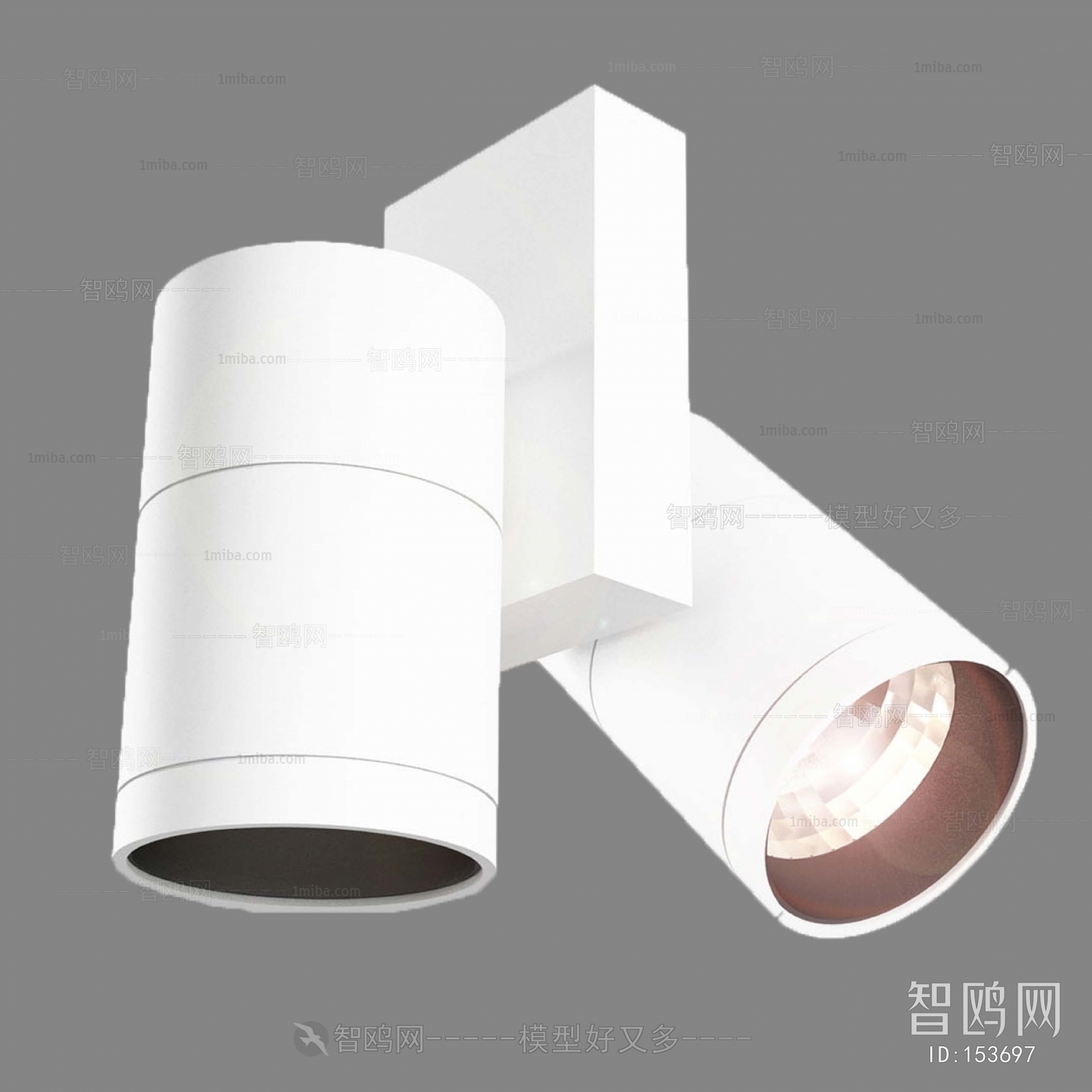 Modern Downlight Spot Light