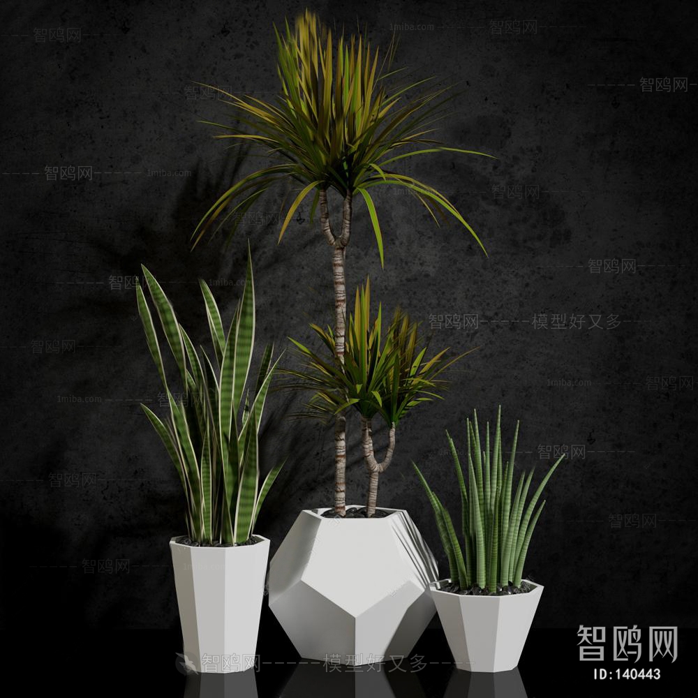 Modern Potted Green Plant