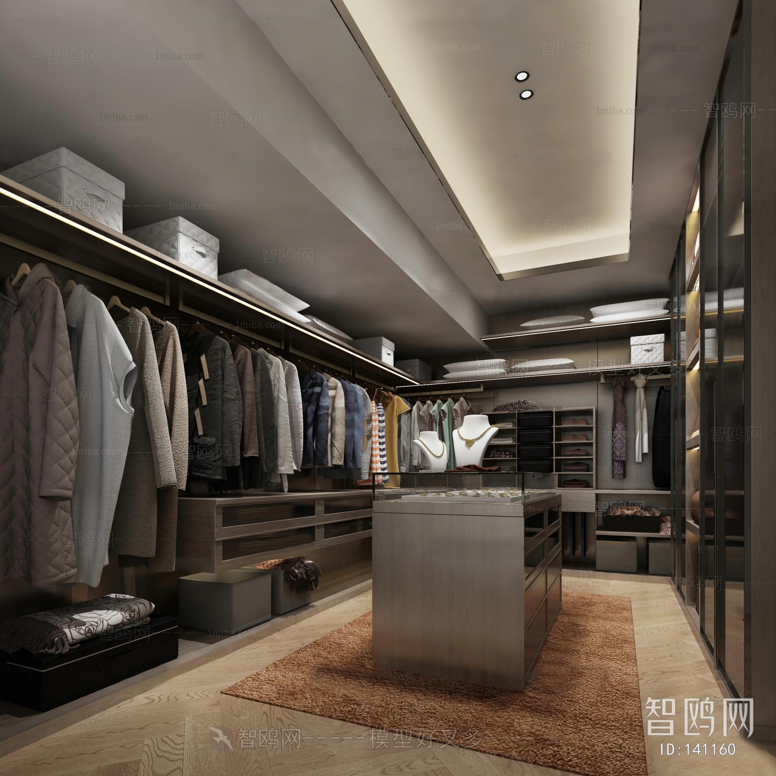 Modern Clothes Storage Area