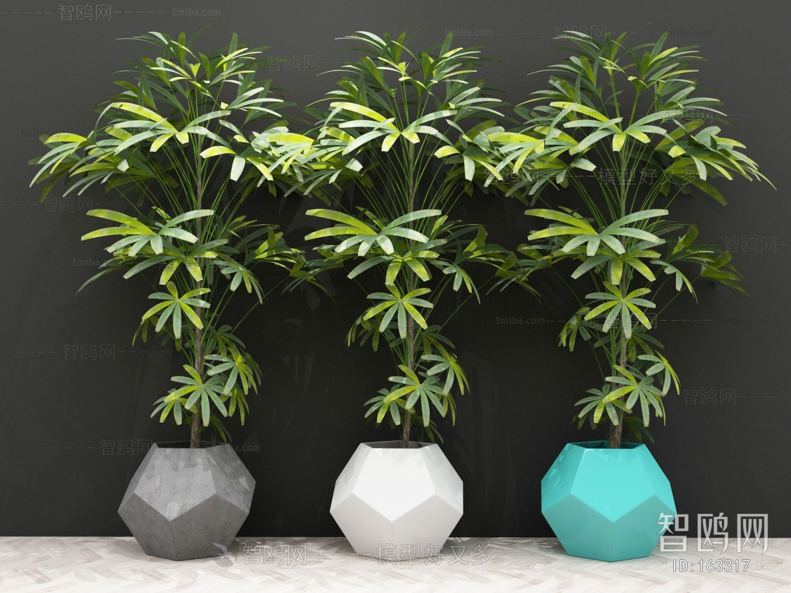 Modern Potted Green Plant