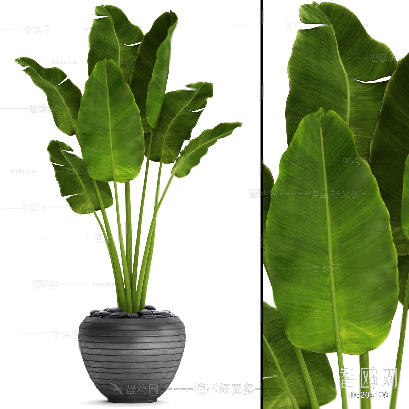 Modern Potted Green Plant