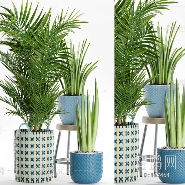 Modern Potted Green Plant