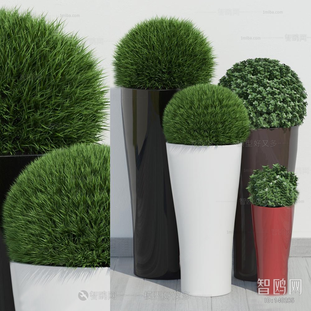 Modern Potted Green Plant