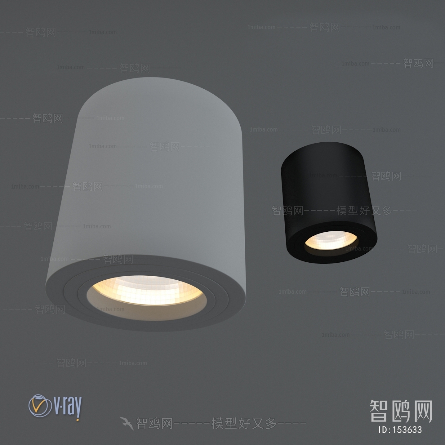 Modern Downlight Spot Light