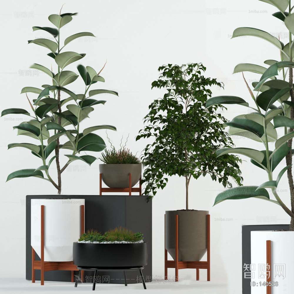 Modern Potted Green Plant