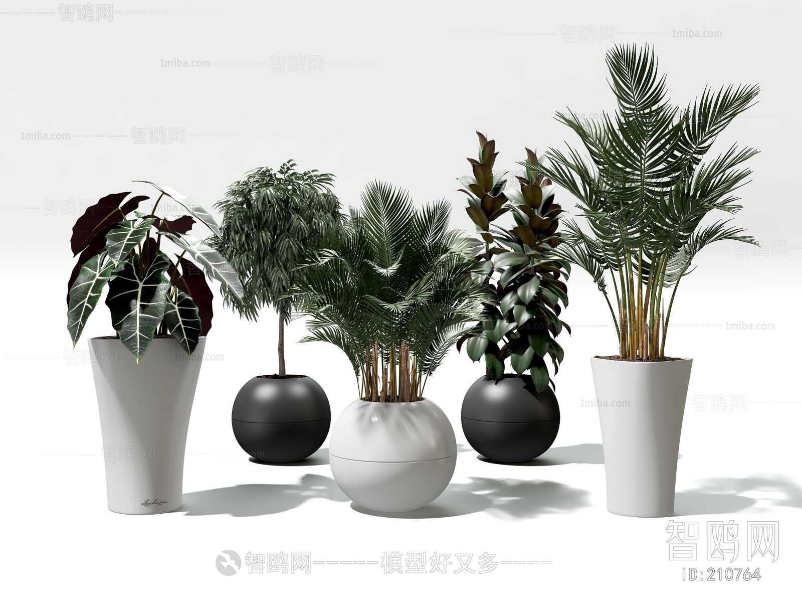 Modern Potted Green Plant