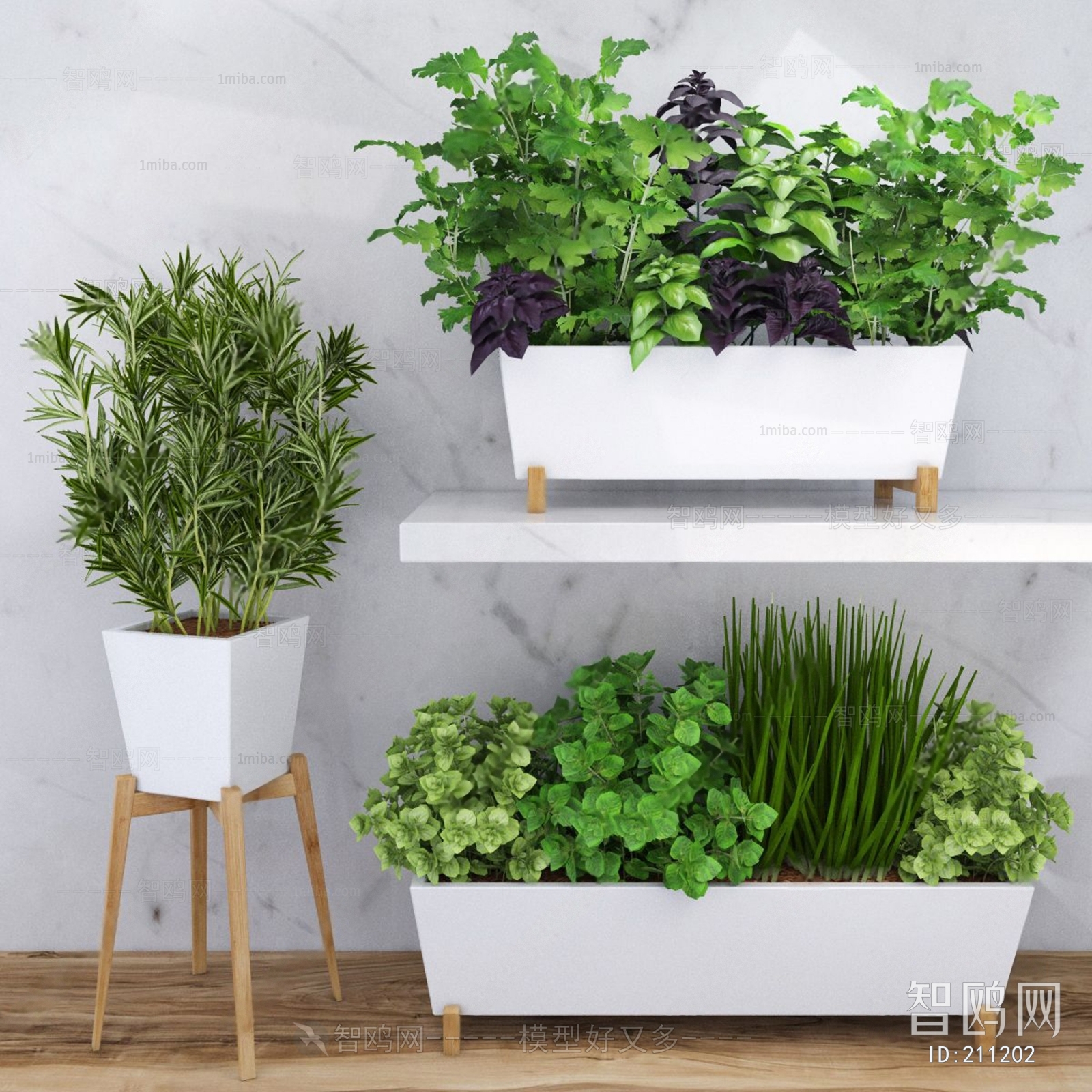 Modern Potted Green Plant