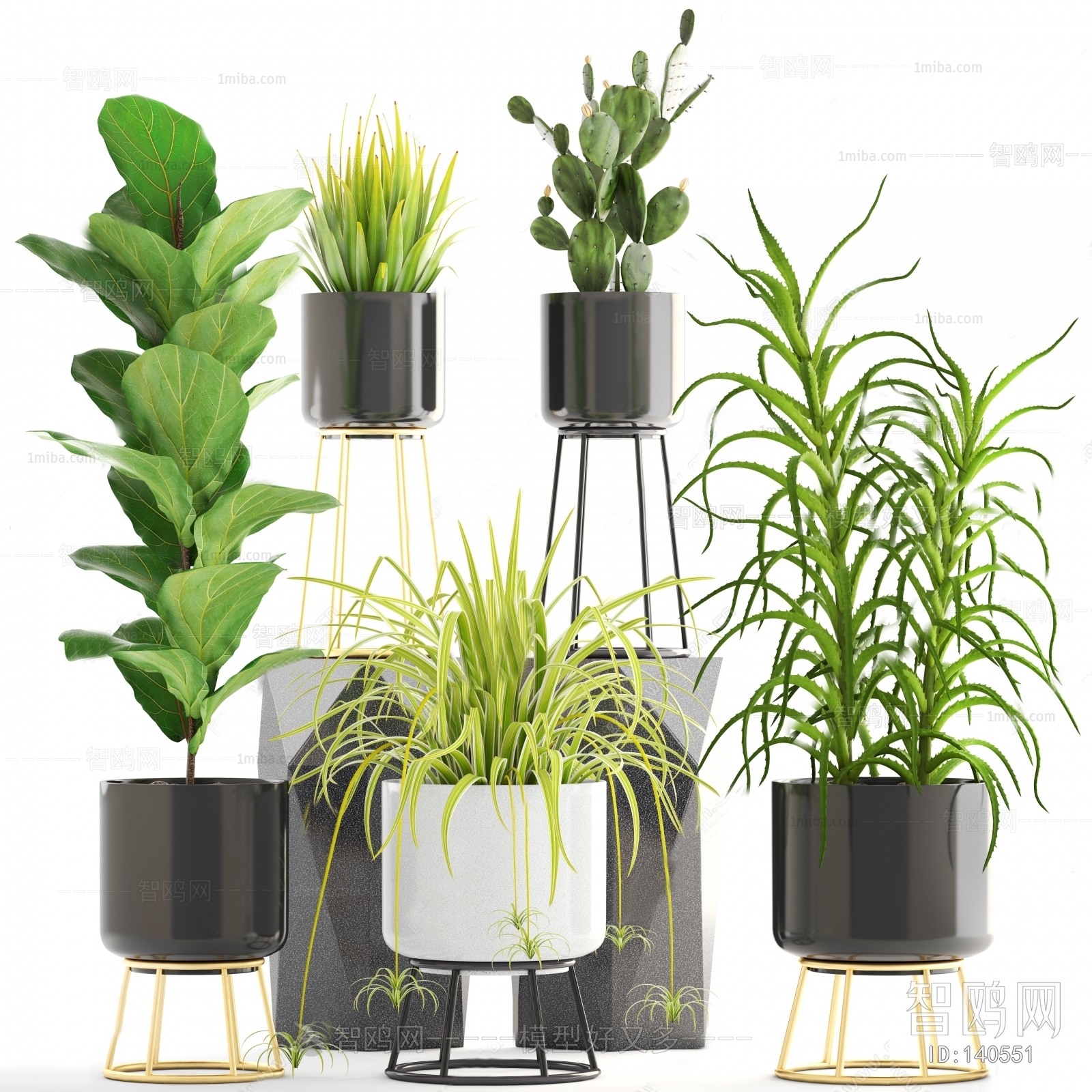 Modern Potted Green Plant