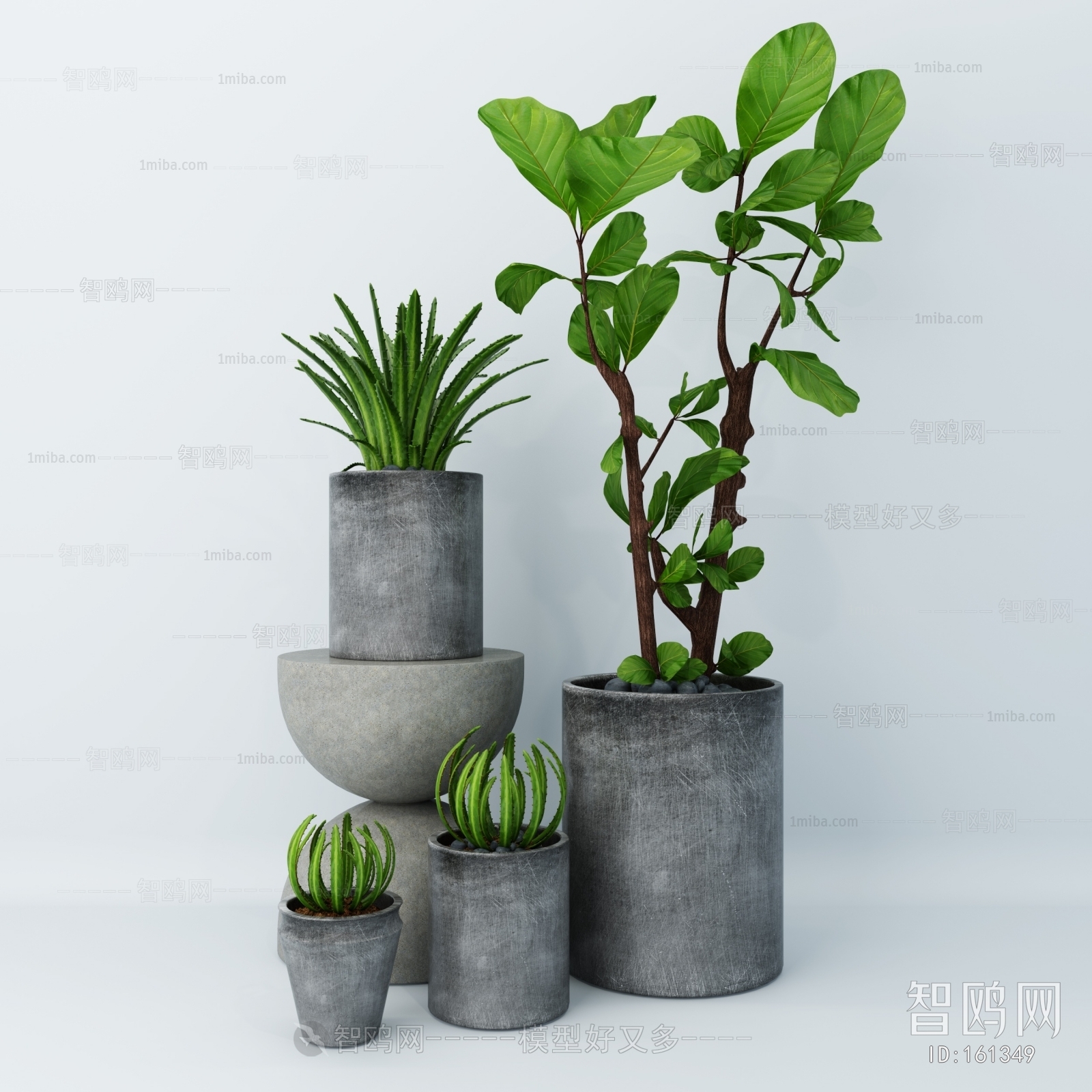 Modern Potted Green Plant