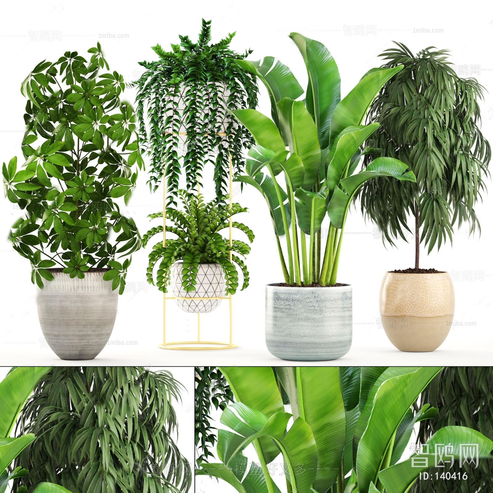 Modern Potted Green Plant