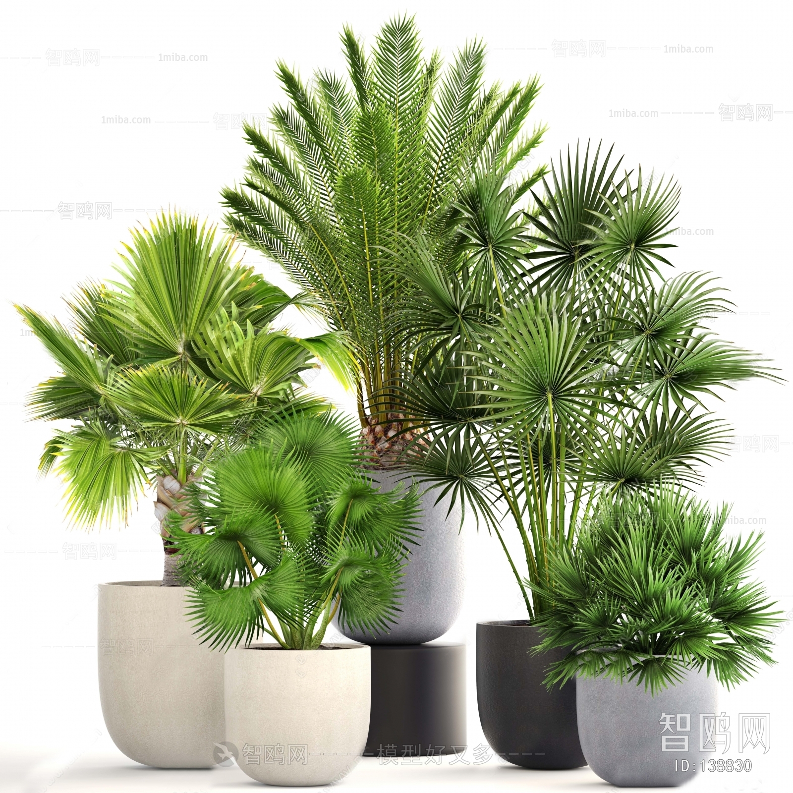 Modern Potted Green Plant