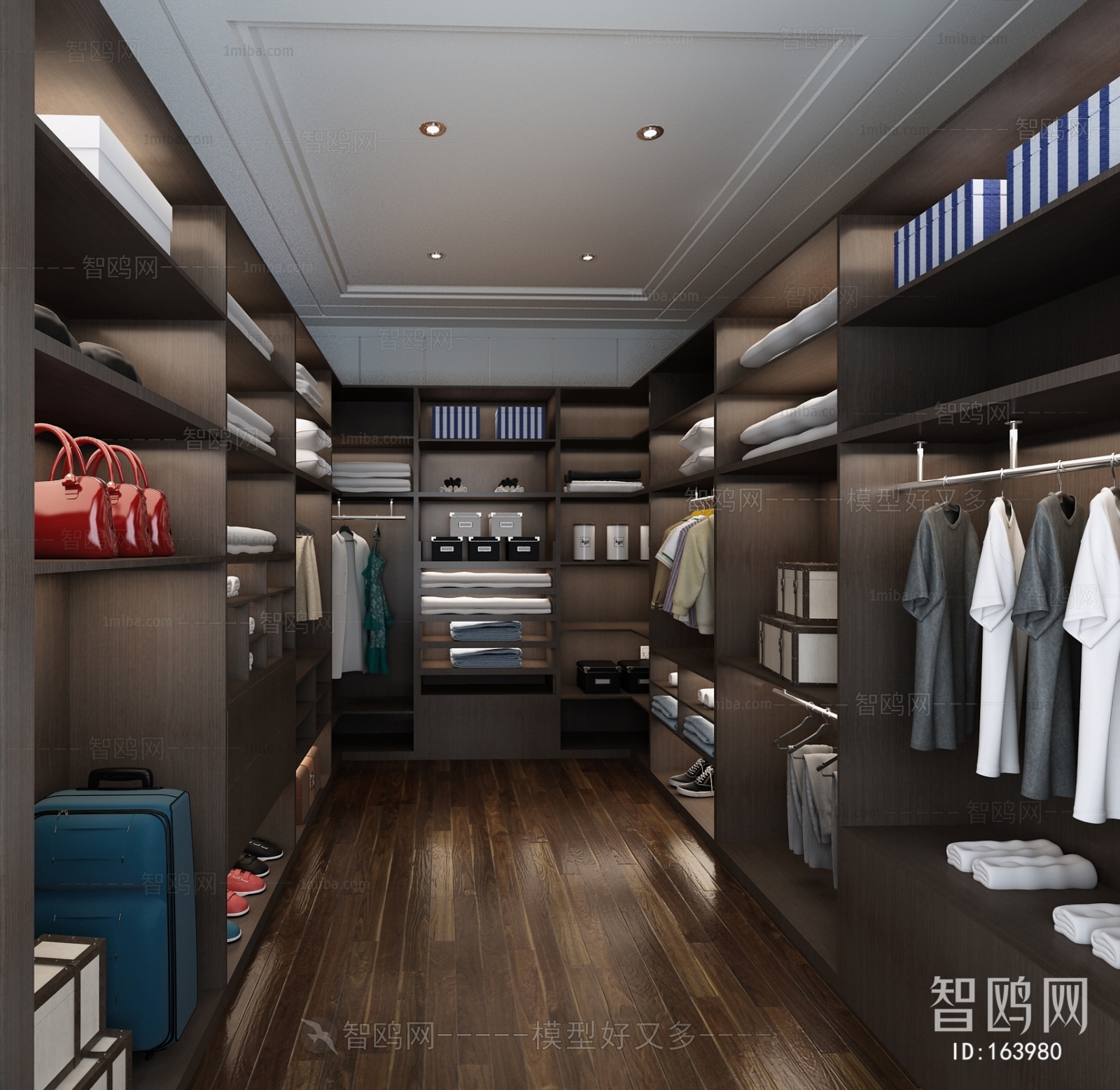 Modern Clothes Storage Area