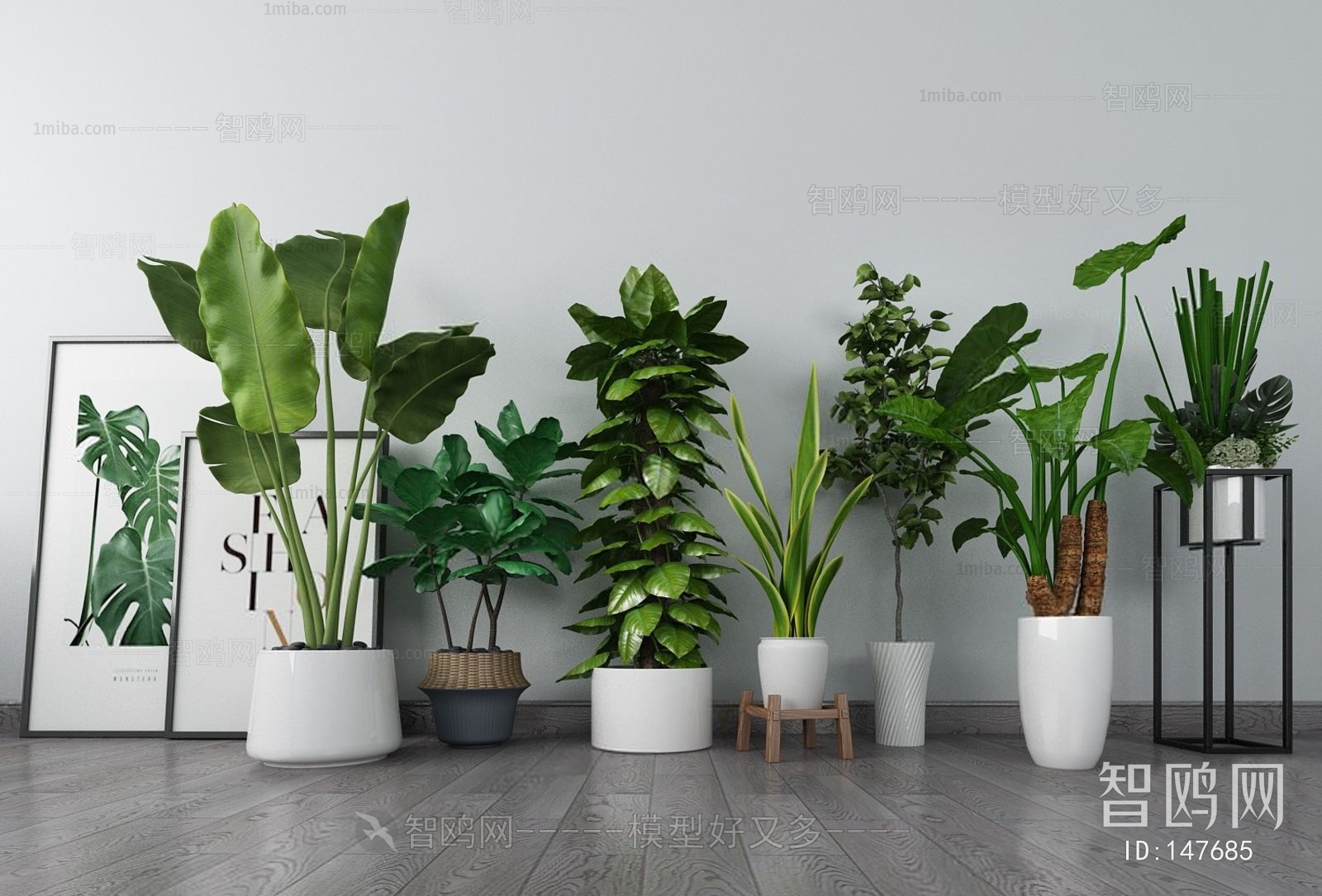 Modern Potted Green Plant