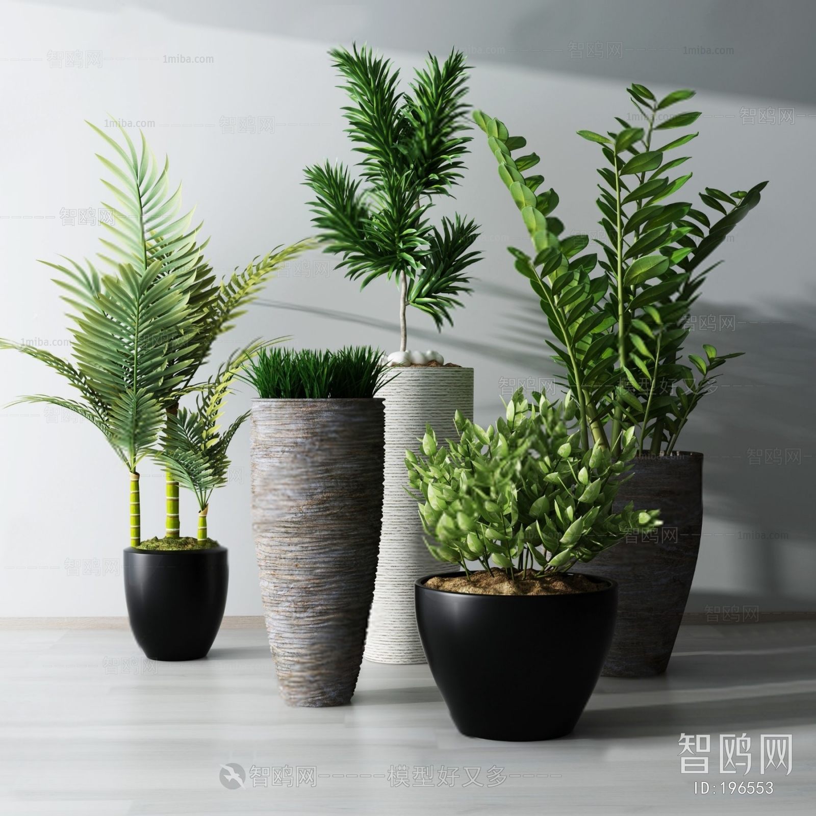 Modern Potted Green Plant