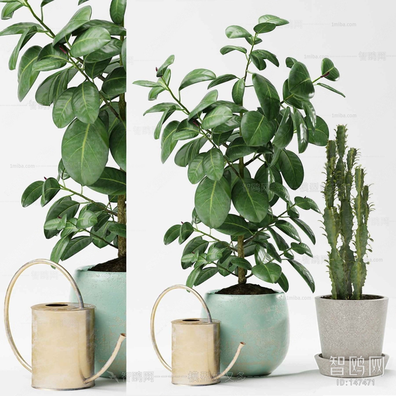 Modern Potted Green Plant