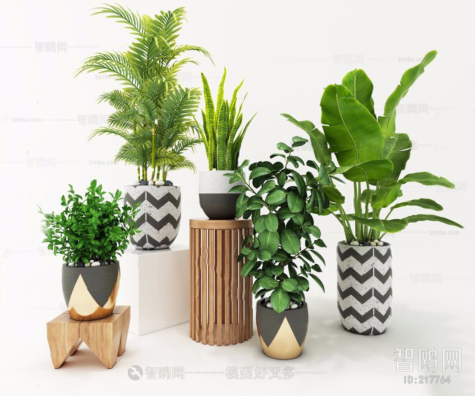 Modern Potted Green Plant