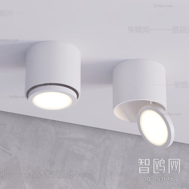 Modern Downlight Spot Light