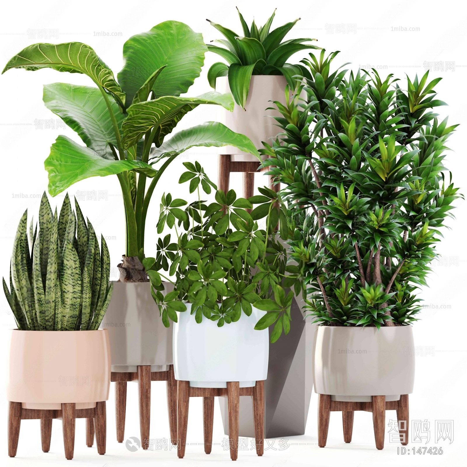 Modern Potted Green Plant