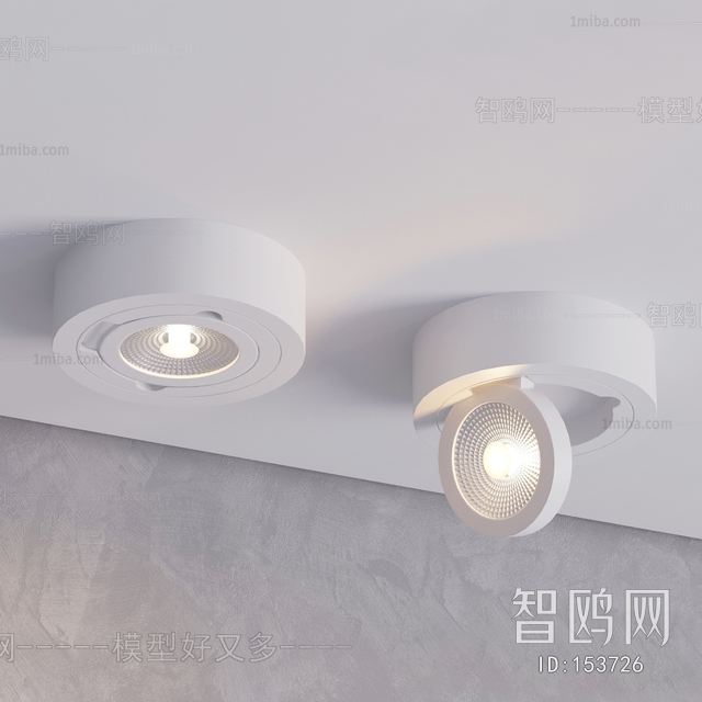 Modern Downlight Spot Light