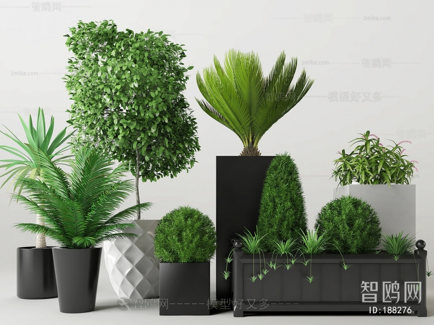 Modern Potted Green Plant