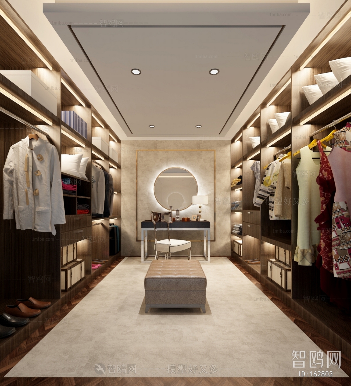 Modern Clothes Storage Area