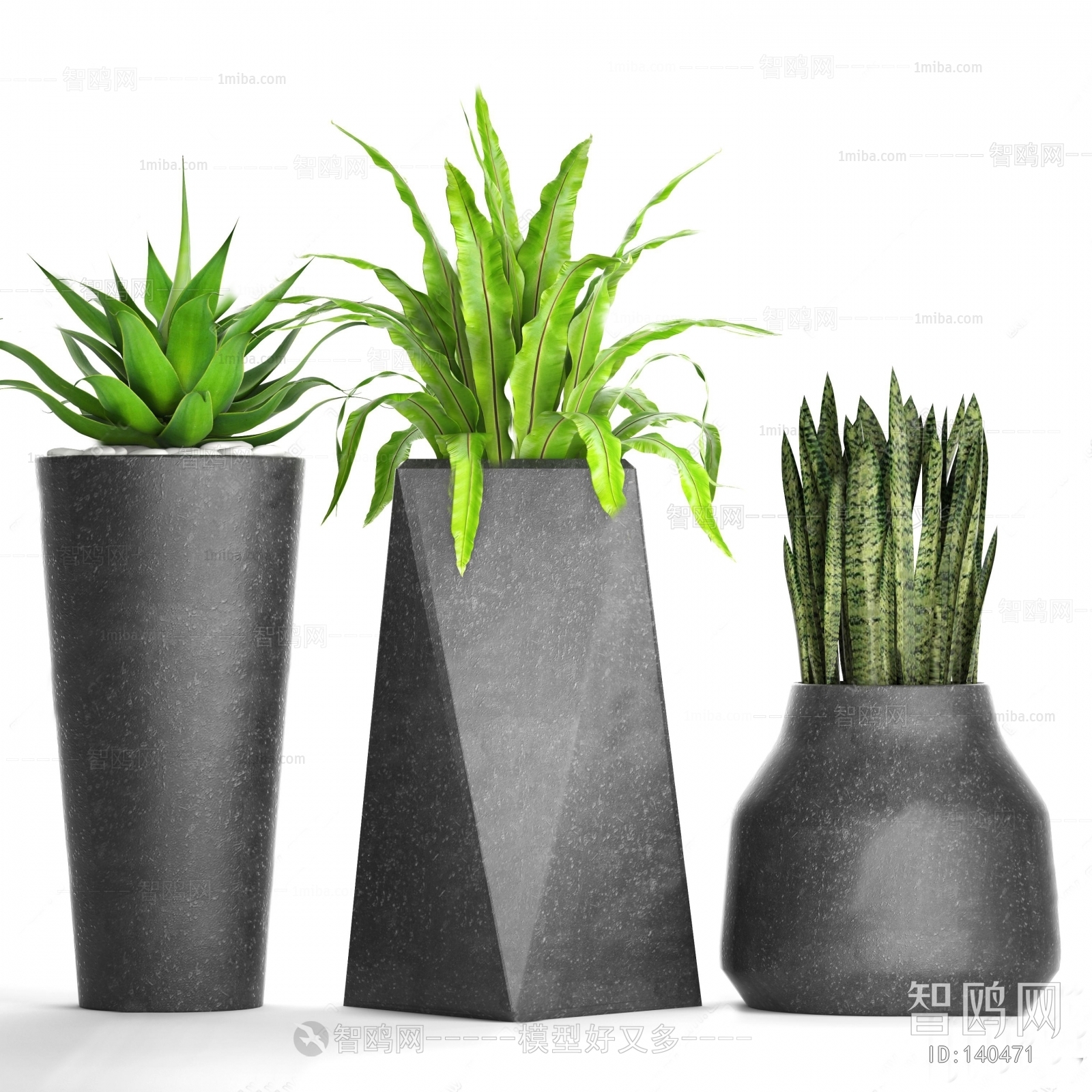 Modern Potted Green Plant