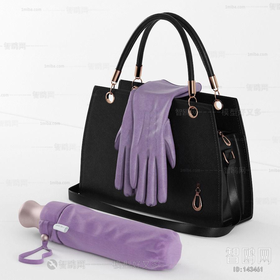 Modern Lady's Bag