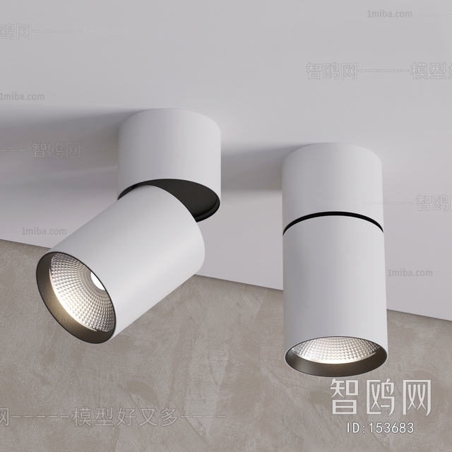 Modern Downlight Spot Light