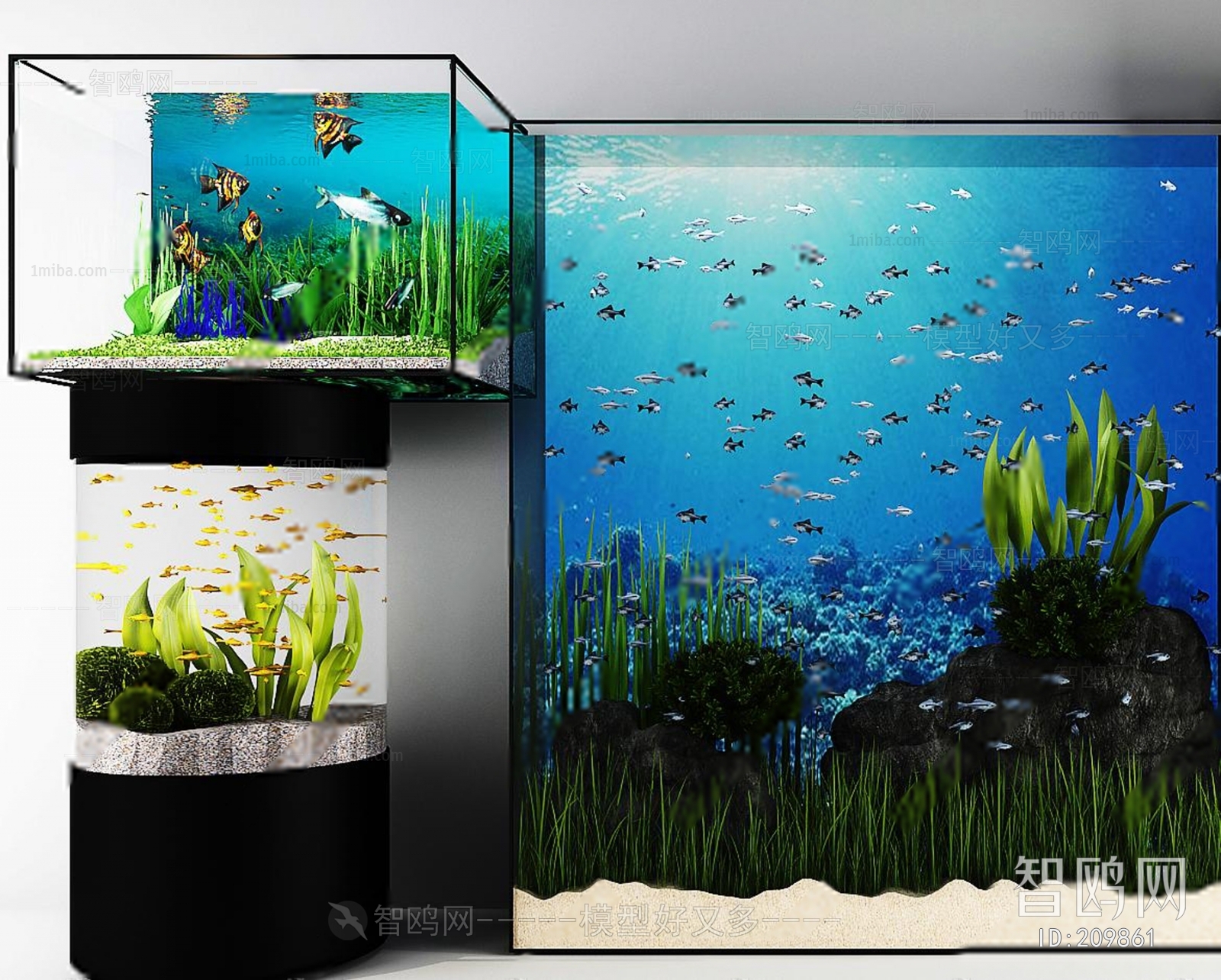 Modern Fish Tank