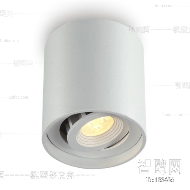 Modern Downlight Spot Light