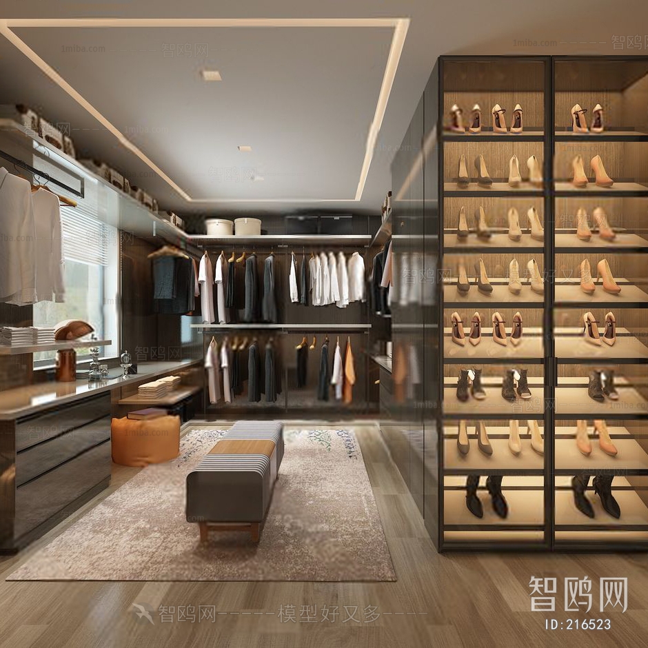 Modern Clothes Storage Area