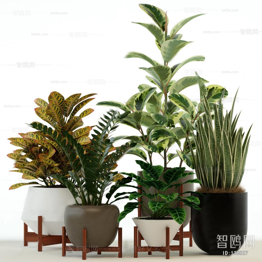 Modern Potted Green Plant