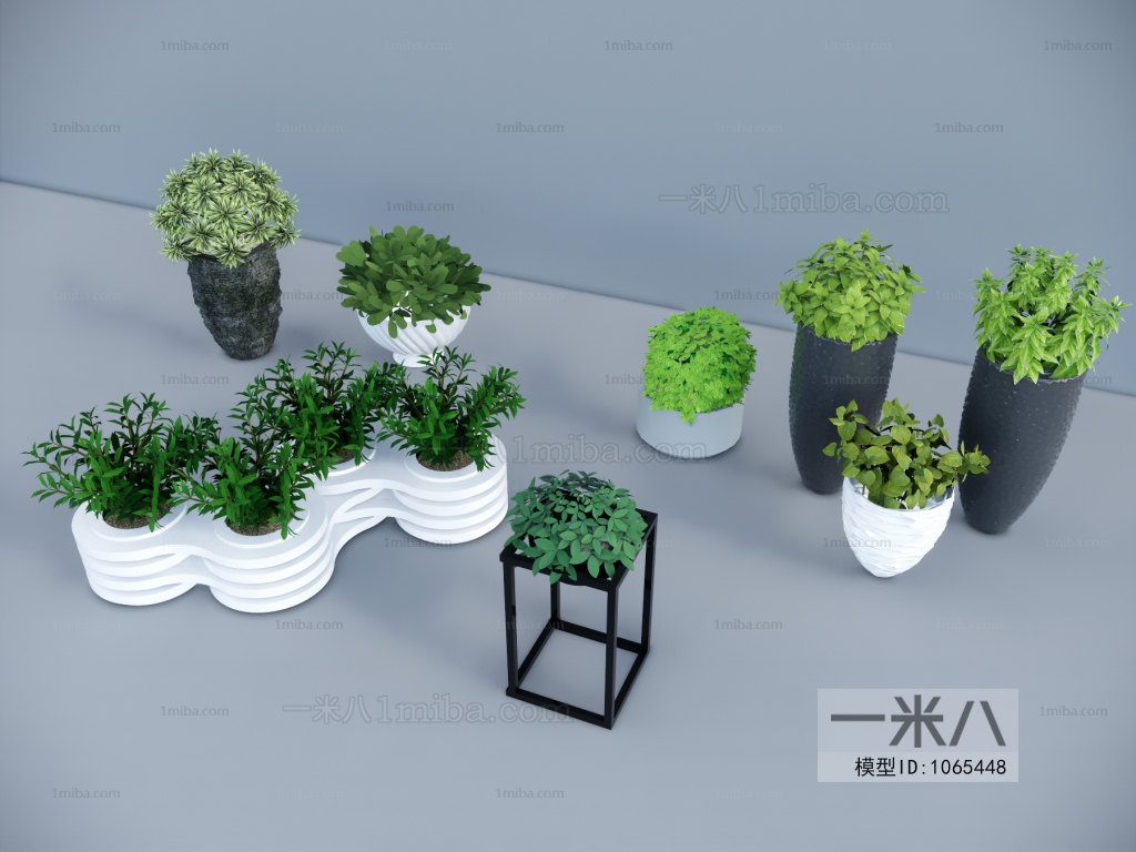 Modern Potted Green Plant