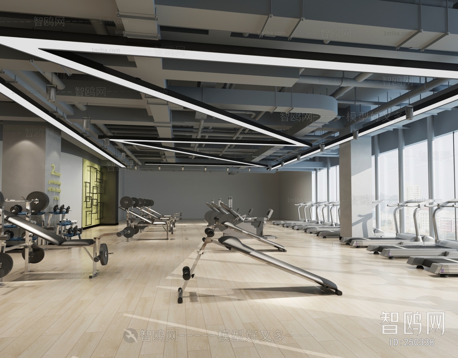 Modern Gym