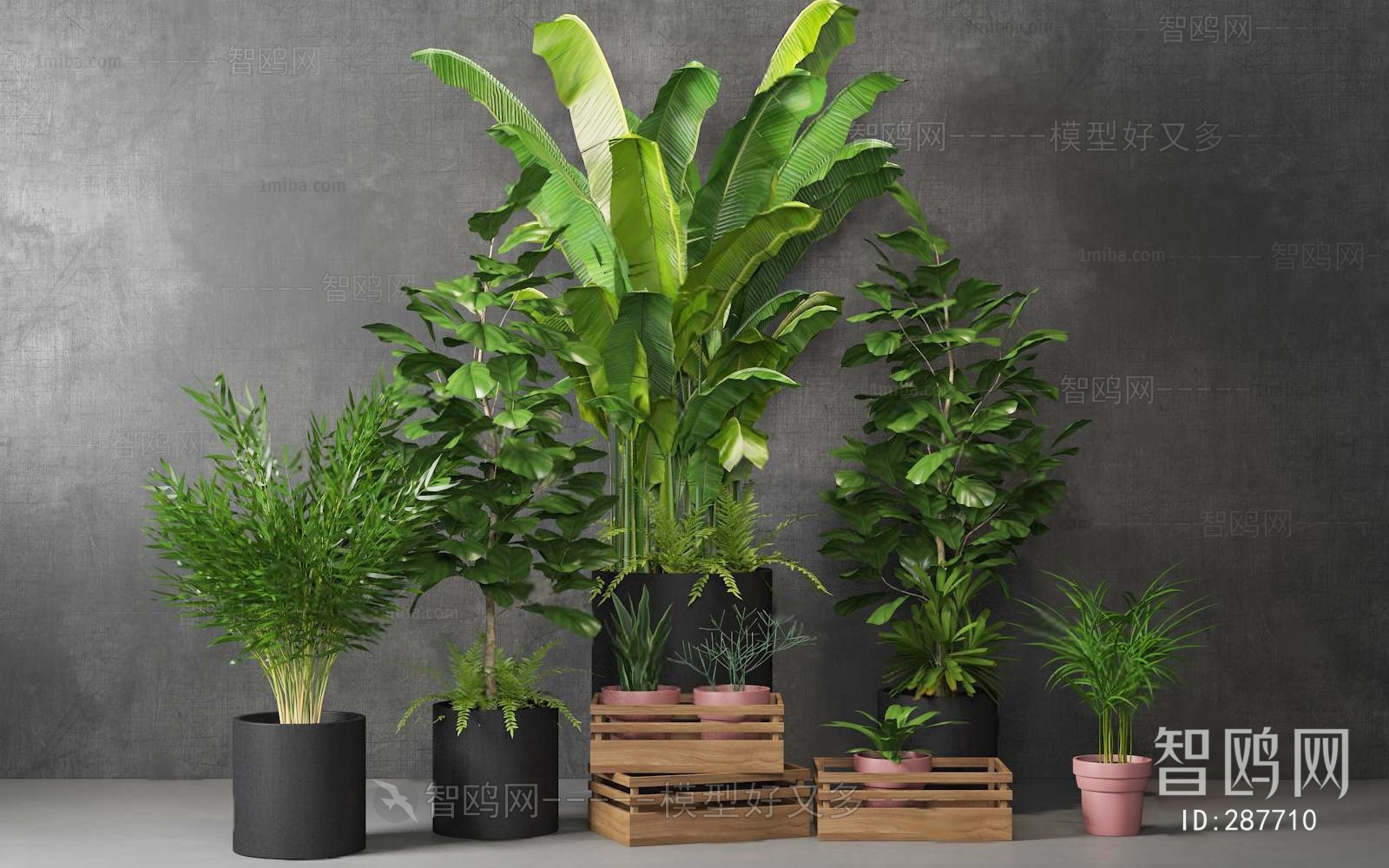 Modern Potted Green Plant