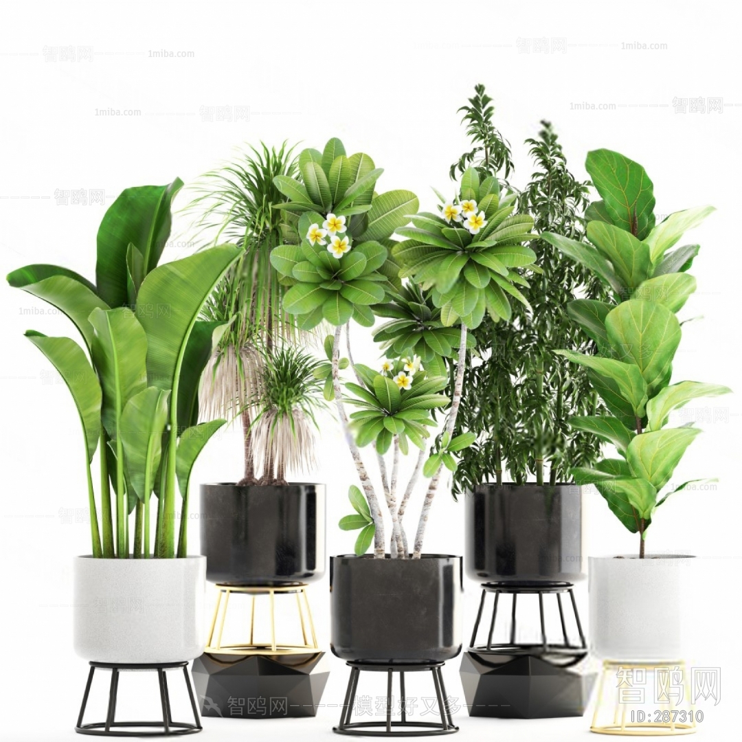 Modern Potted Green Plant