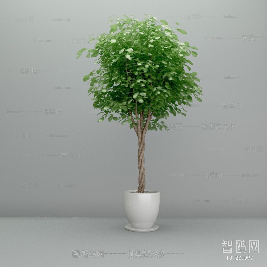 Modern Potted Green Plant