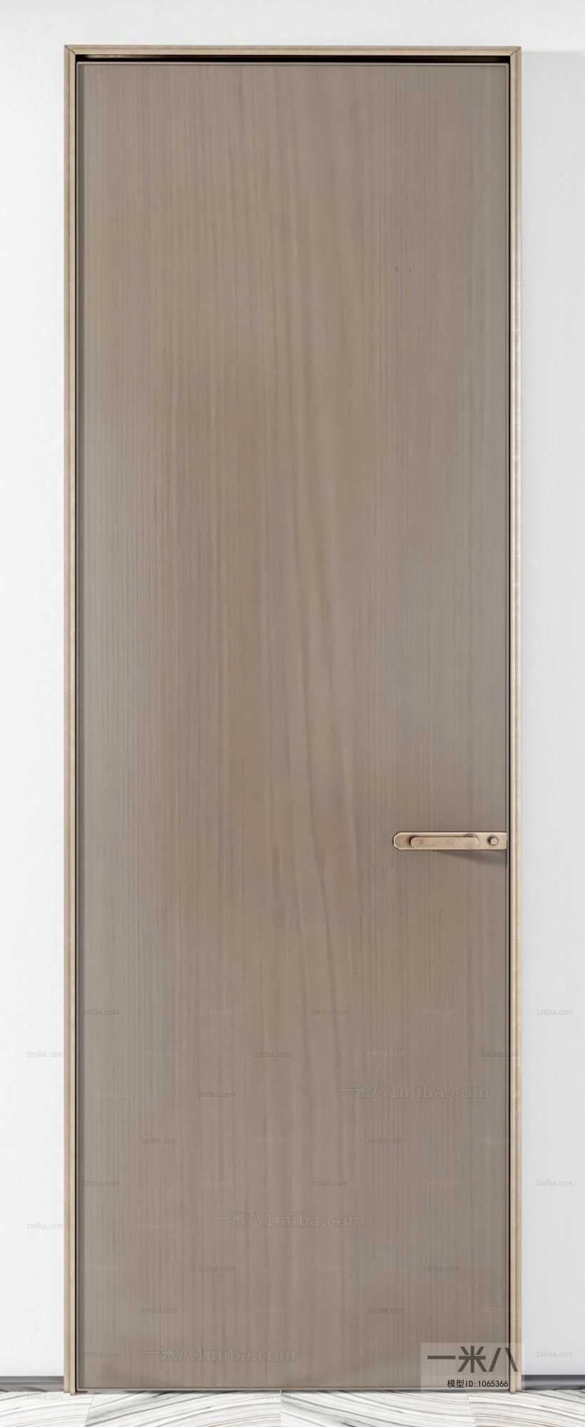 Modern Single Door