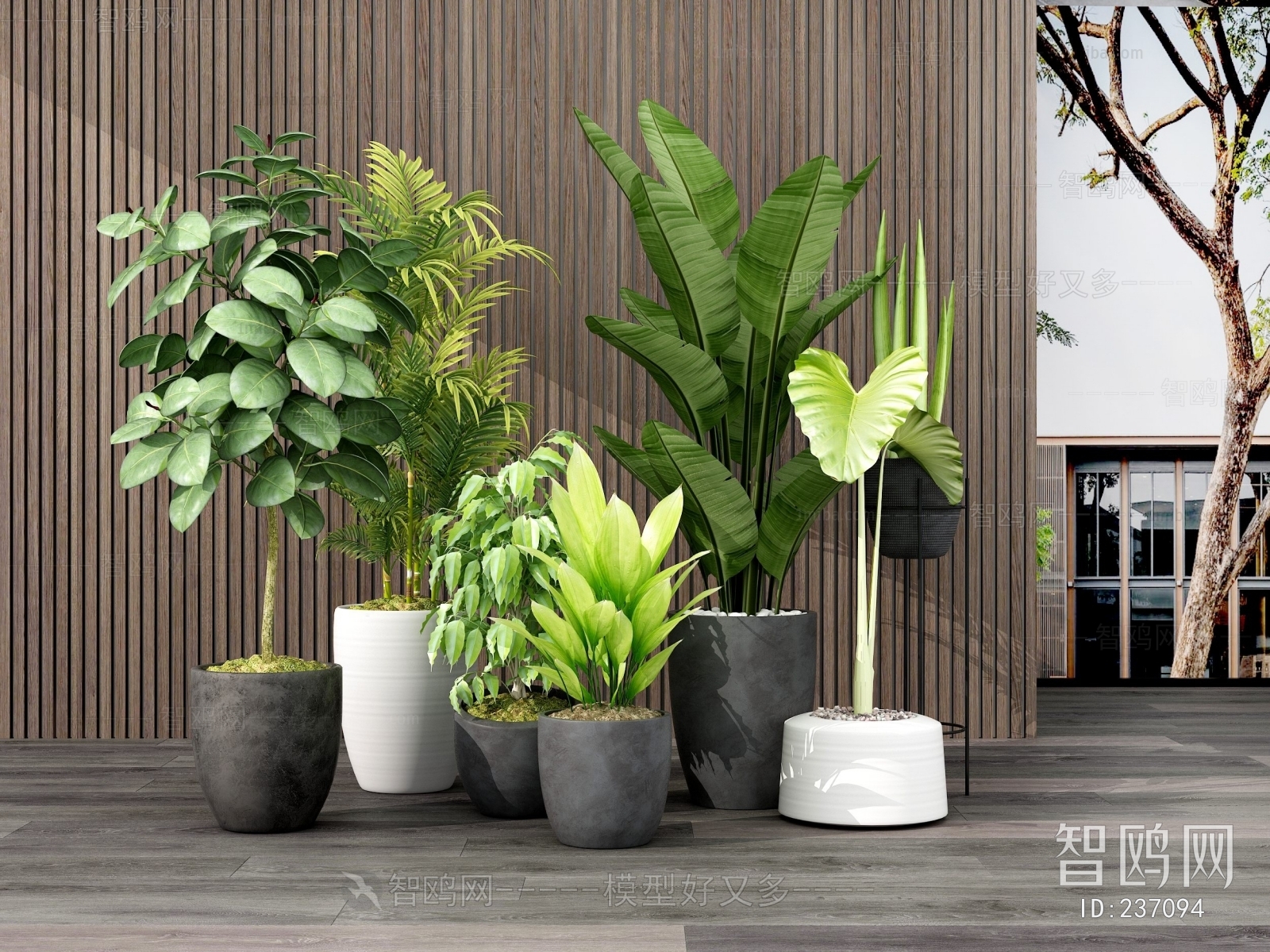 Modern Potted Green Plant