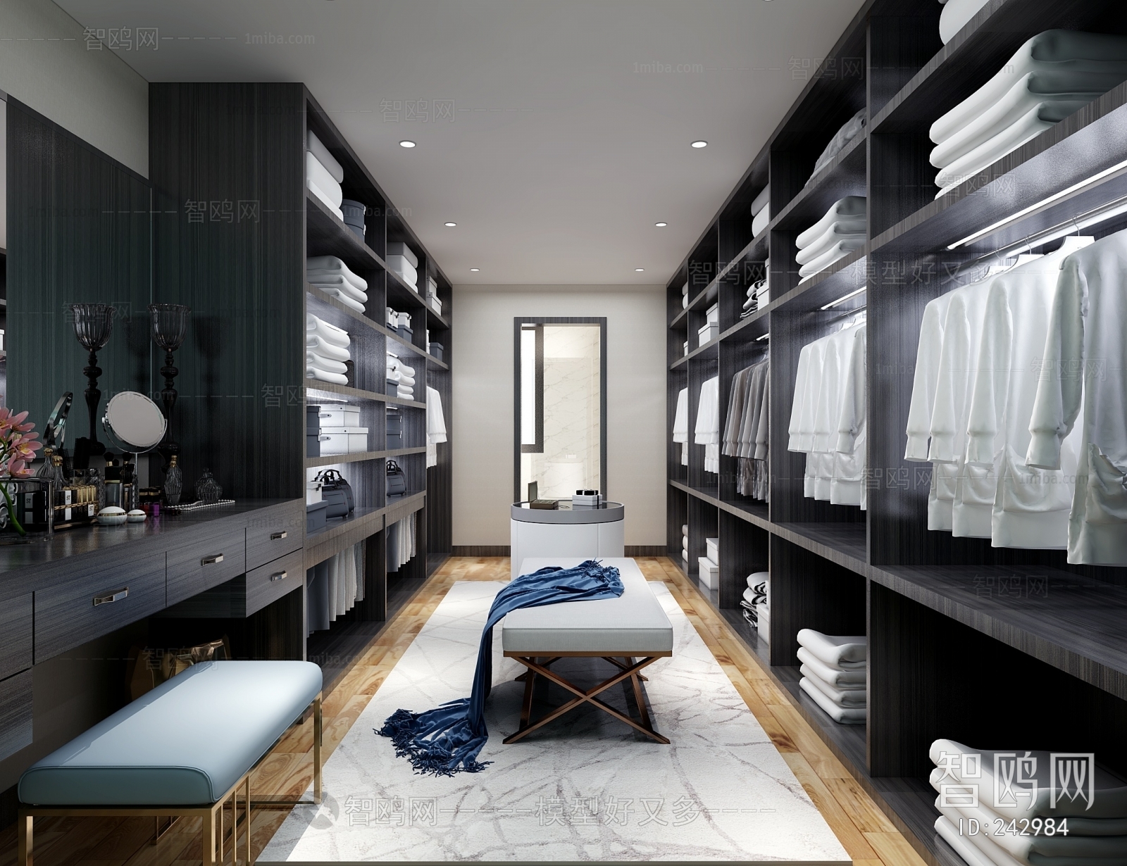 Modern Clothes Storage Area