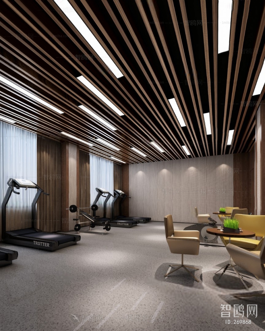 Modern Gym