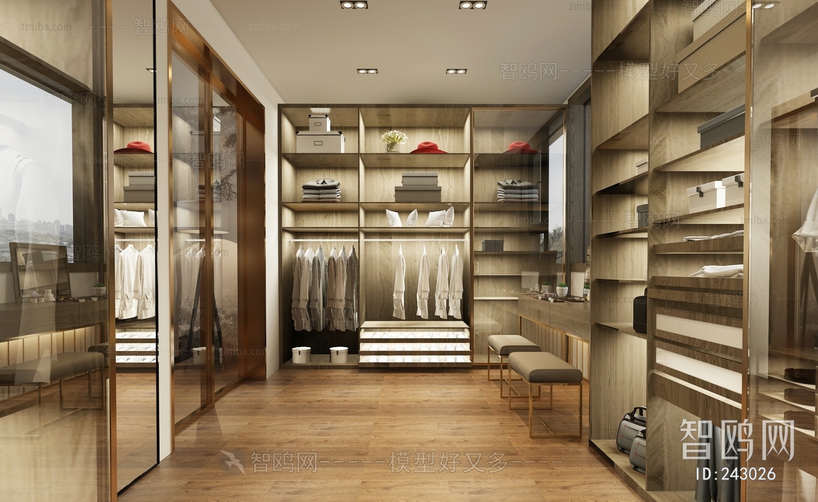 Modern Clothes Storage Area